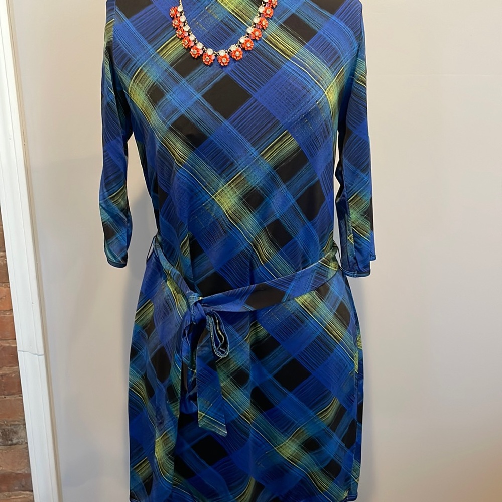 Silk stretch dress
